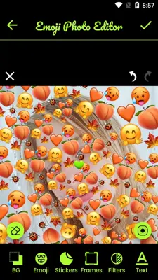 Emoji Photo Editor android App screenshot 2